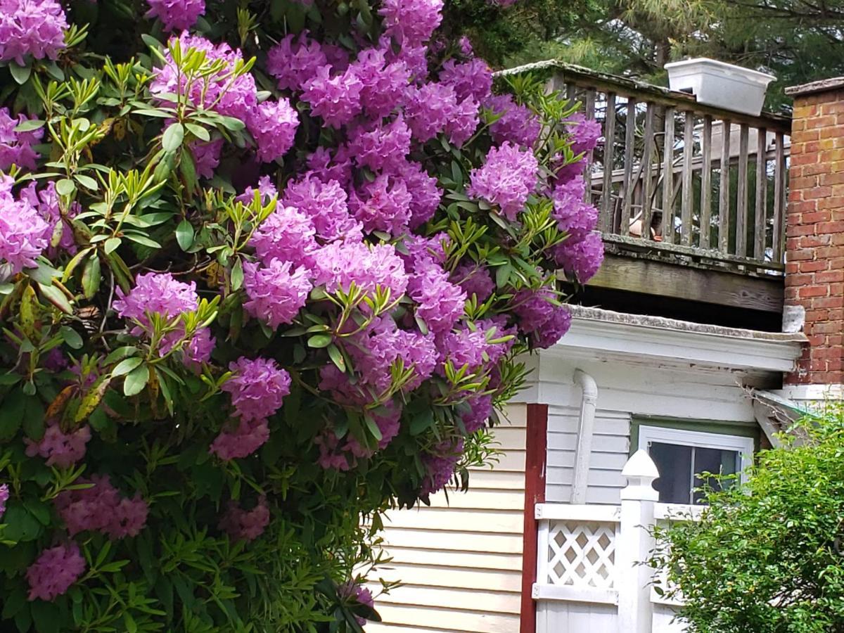 Arbor View House Bed And Breakfast 이스트 마리온 외부 사진