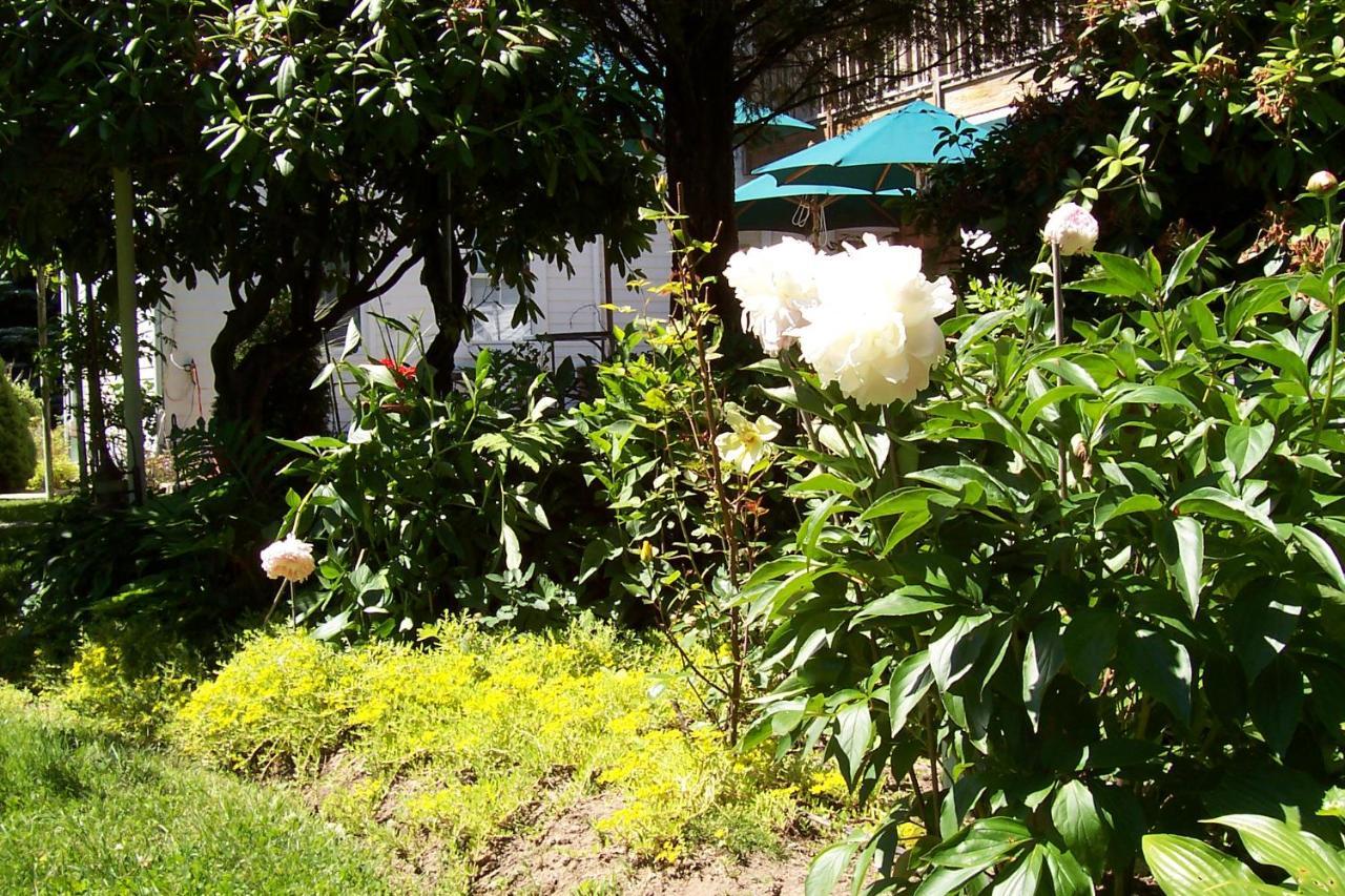 Arbor View House Bed And Breakfast 이스트 마리온 외부 사진